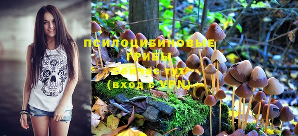 PSILOCYBIN Балабаново