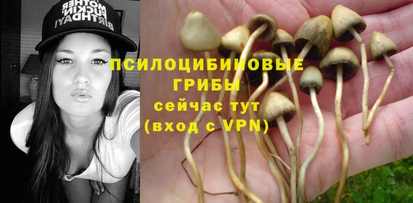 мескалин Баксан