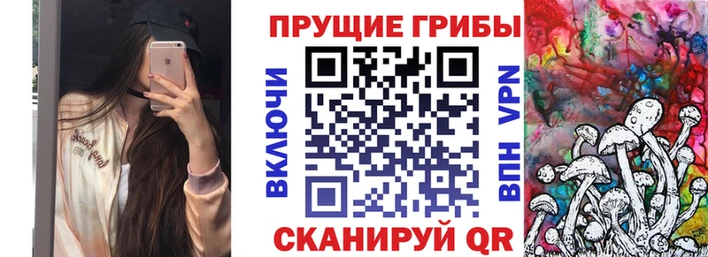 Псилоцибиновые грибы мицелий  кракен маркетплейс  Лыткарино 